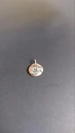 エレクトロン貨幣　シルバーアクセ
