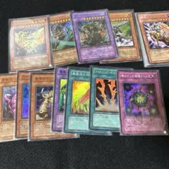 遊戯王OCGヤマドランメガソニックくいぐるみ硫酸初期カード6枚セット