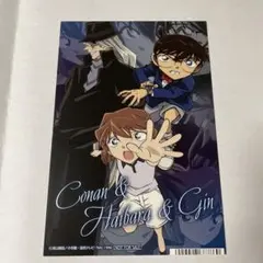 名探偵コナン　コナンストア　購入特典　灰原哀　江戸川コナン　ジン