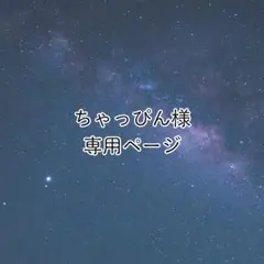 ちゃっぴん様　専用ページ