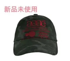 Item thumbnail for item 2cdf0c33-8c9d-42cd-a469-cb4866602f90