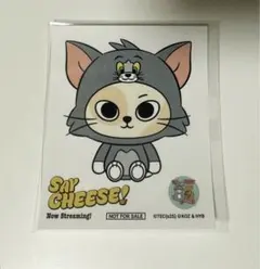 Say Cheese! トムジェリ　ボネクド　ステッカー　ソンホ　ケッピ