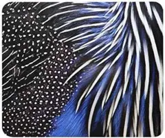 マウスパッド フサホロホロチョウ フォトパッド 世界の野生動物シリーズ