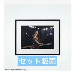 甲斐田晴 本人直筆サイン入り認定証 シヤチハタ VΔLZコラボ※ステッカー