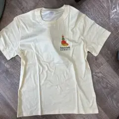 ダウントューアース　tシャツ sサイズ