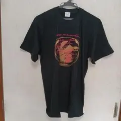 最終価格)PICALIN グラフィックプリント Tシャツ Lサイズ
