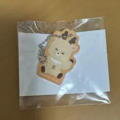 RIIZE ランダムトイ ソンチャン マグネットアクリルチャーム(R)