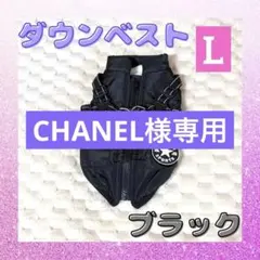 Item thumbnail for item 3e346a9b-f4c2-4519-af89-701555218491