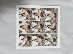 BTS JUNGKOOK 花様年華