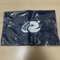 Item thumbnail for item e223d582-9b9f-4e41-888a-9c252b52aeba