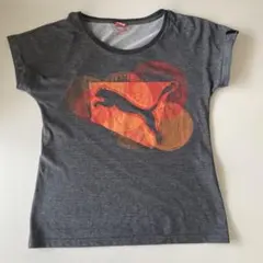 puma プーマ　レディース tシャツ　L 半袖