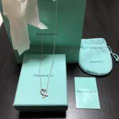Tiffany & Co. シルバーネックレス　ラビングハートペンダント