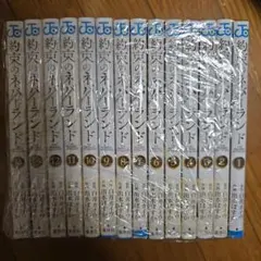 2026年最新】約束のネバーランド 13巻の人気アイテム - メルカリ