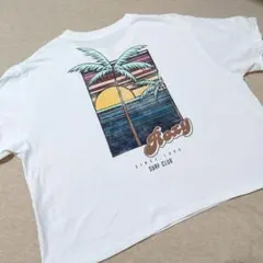 ROXY★ロキシー Tシャツ ホワイト Surf 夏