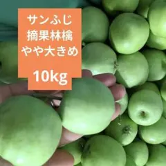 摘果りんご　やや大きめ　加工用　サンふじ林檎 中玉　約10キロ 送料込み　102のサムネイル