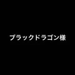 ブラックドラゴン様 リクエスト 7点 まとめ商品
