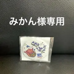 みかん様専用ページ