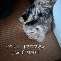 ピタン☆【プロフ必読(='ω'=)】様 リクエスト 2点 まとめ商品