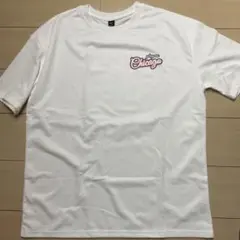 Item thumbnail for item 73578d66-5151-4c0b-81fa-a21b4d7459d5