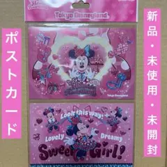 ミニーのファンダーランド ミニーパルパルーザ ポストカード パルパルーザ