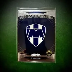 Item thumbnail for item 9562c51c-12fd-4d59-bfd9-3edd524ebca5