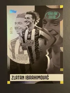 Item thumbnail for item f5367c67-5a77-4b52-883d-012591321c20