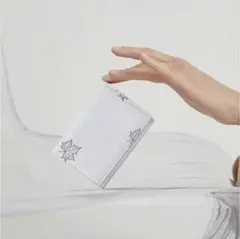 Item thumbnail for item 3b637aae-44c3-4404-8d55-59d29b647b98