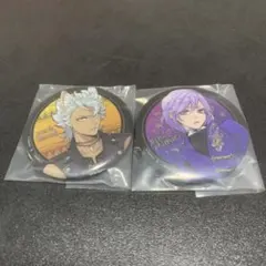 ツイステッドワンダーランド ピンバッジ 2個セット