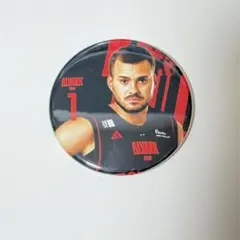 ALVARK TOKYO ディー・ジェイ・ホグ 缶バッジ