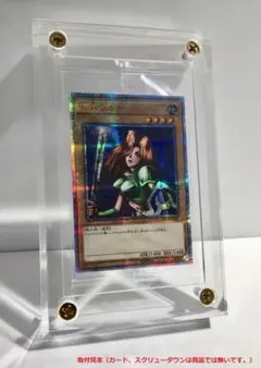 透明受注 未開封用 秘蔵レア保護用部品 ペスアクリル