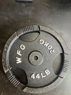 WILD FIT ワイルドフィット プレート 10kg (2枚) - メルカリ