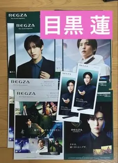 SnowMan 目黒蓮 めめ レグザ 広告 パンフレット 5種 10セット