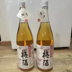 泡盛 瓶熟成古酒 2本セット - メルカリ