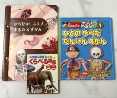 Item thumbnail for item 06e0f2fb-dd41-43bd-8262-5d65b0fa1a81