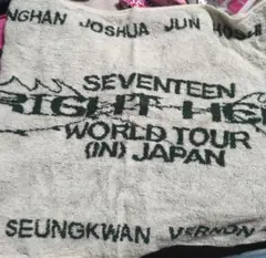 SEVENTEEN　ツアータオル