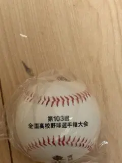 2026年最新】甲子園記念ボールの人気アイテム - メルカリ