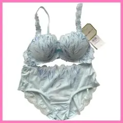 C70/L ゴールドレーベル　バイ　トリンプ　3085 ブルー