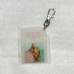 ☆お値下げ☆ディズニーイマジニングザマジック　キーチェーン　プルート
