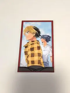 ヒカルの碁　TCG トレカ　カード　スリーブ 2026年最新】ヒカルの碁 スリーブの人気アイテム - メルカリ