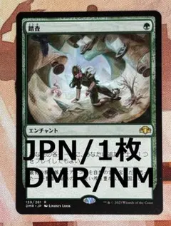 DMR 踏査/Exploration MTG