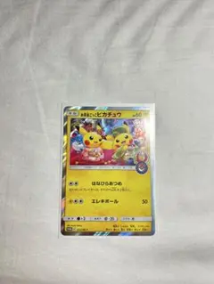 お茶会ごっこピカチュウ：はなびらのまいキャンペーン PROMO SM-P