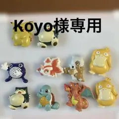 ポケモン マグネット10体セット