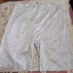 イオンガードル