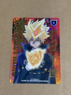 希少 家庭教師ヒットマンreborn! CCG プリーモ プロモ P カード - メルカリ