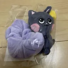 riize ウォンビン　ミニドール、シュシュ、ドールポーチ、フォトホルダー riize ウォンビン ミニドール、シュシュ、ドールポーチ、フォト