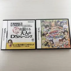 NINTENDO DS ソフトまとめ売り