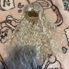 コーディネートモデル着用ウィッグ　シルバーロング