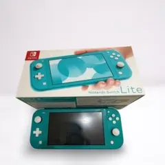 Nintendo Switch Lite 本体 充電器 保護フィルム ケース付き