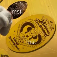 ディズニー スーベニアメダル ミニーのファンダーランド BV パルパルーザ
