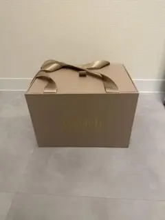 Darich リボン付きギフトボックス 中型